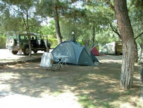 Peaceful Greek campsite
